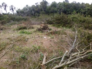 BANNISTER HOUSING DEVELOPMENT, St. Catherine, Jamaica - Residential lot for Sale